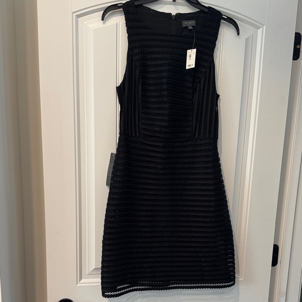 The Limited Black Striped Mini Dress